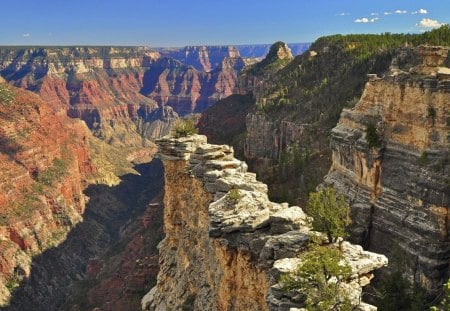 marvelous grand canyon - cliffs, trees, canyon, sky