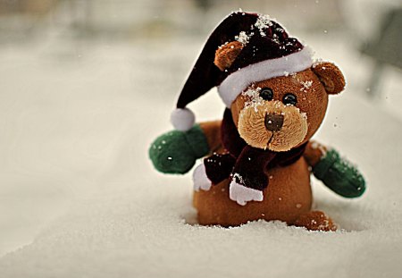 Holidays toy - new year, toy, teddy, bear