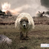 battlesheep