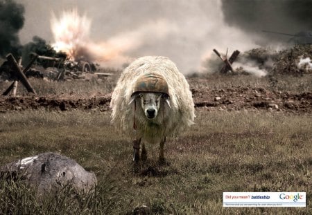 battlesheep - funny, animals, sheep, cool