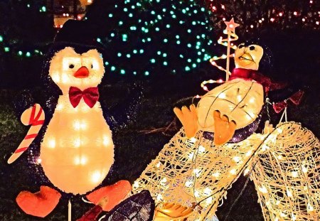 Penguins at Play - nature, penguins, decorations, holiday, christmas, lights