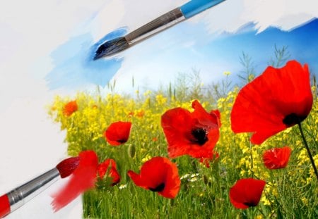 Poppy seed - brushes, poppy seed, red, sky