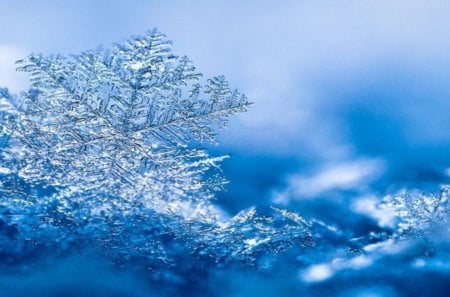 Snowflakes - ice, photography, winter, wallpaper, snoflakes, hd, nature, abstract, macro, snow, blue