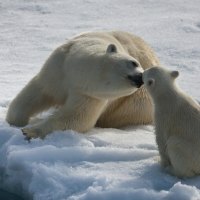 Mother And Son Love