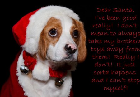 Dear Santa...