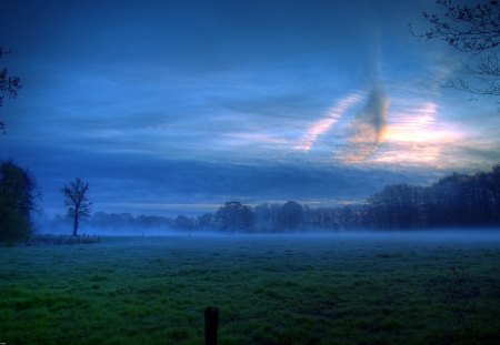 Silence - clouds, silence, tree, sky