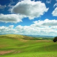 Cloudy Green World