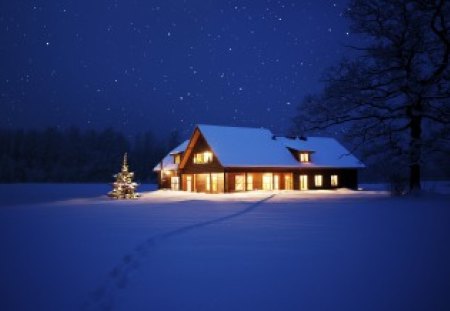 Winter Night - xmas, snow, night, winter, tree, house, snowy, christmas