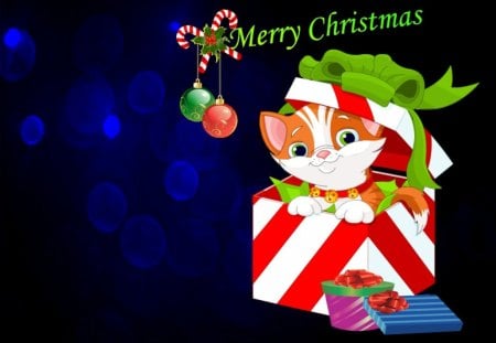 Kittys Christmas - happy catmas, christmas with kitty, it a cats life, have a purrfect christmas