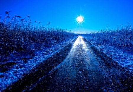 WINTER SUN - winter, landscape, road, sun