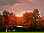 farm in the autumn forest