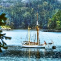 Nature Lake and Boat