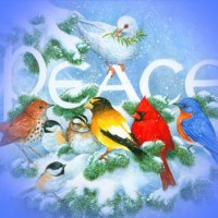 áƒ¦.Peace of Cardinals and Others.áƒ¦