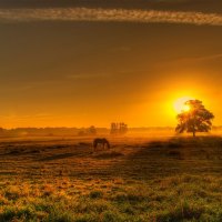 sunset landscape in the countryside