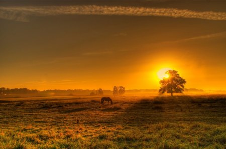 sunset landscape in the countryside - countryside, sunset, sun, landscape