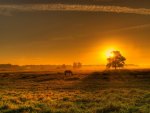 sunset landscape in the countryside