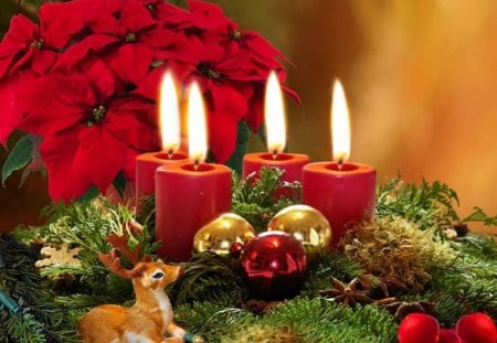 Christmas Candles - tree, christmas, decorations, candles