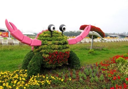 Flowers crab - flowers, grasses, crab, lovely