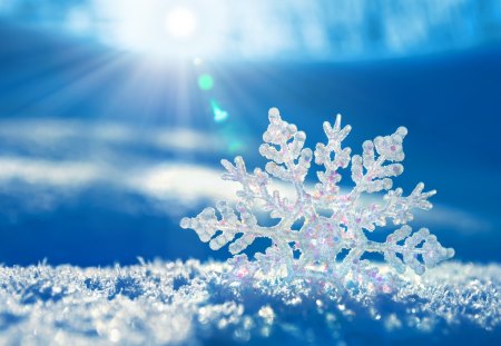 Snowflakes - pretty, sunny, snowflakes, snow, sunrays, winter splendor, sun, sunlight, winter, beautiful, snowy, winter sun, beauty, lovely, nature, winter time, snowflake, rays