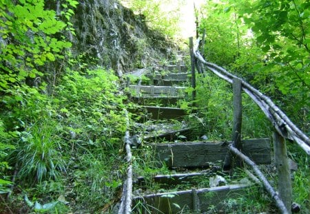 stairs in the forest near smolyan,bulgaria - smolyan, forest, srairs, beautiful, smolian, bulgaria, green