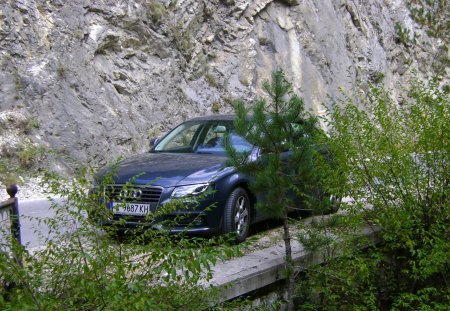 audi a4 behind trees - audi, trees, a4, nice car