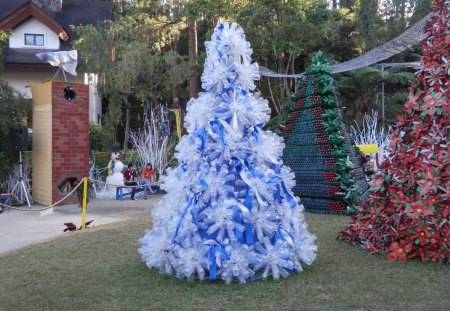 Christmas Tree - captivating, simple, awesome, green tree