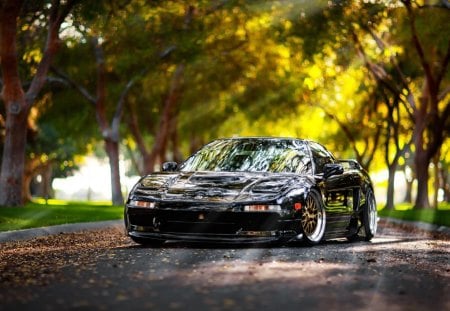 acura nsx in sun rays - sun rays, trees, car, road, leaves