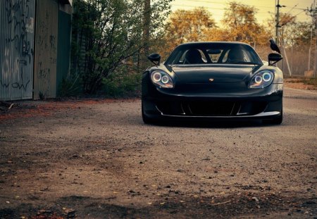 The Porsche - people, porsche, cars, nature, other