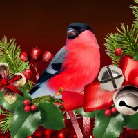 Christmas Bird Celebration