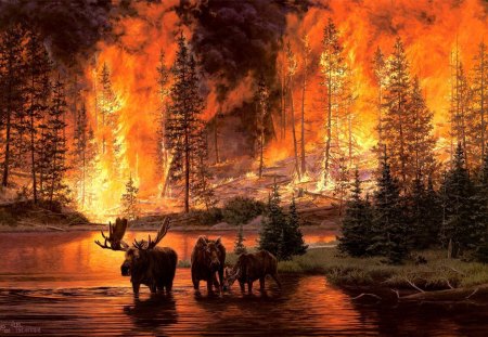 By Jim Tschetter - painting, art, animal, jim tschetter, fire