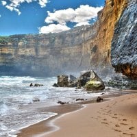 tracks on a coastal beach