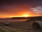 beautiful sunset on a hay field by the sea