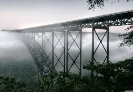 Bridge - nature, architecture, green, bridge