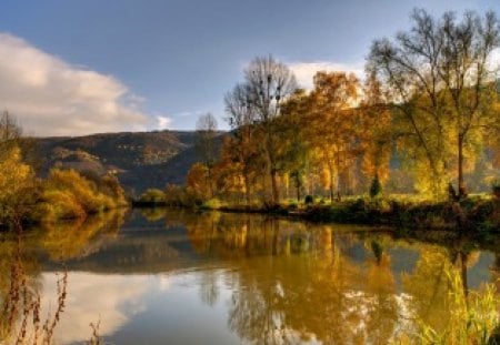 autumn landscape - tree, autumn, landscape, river