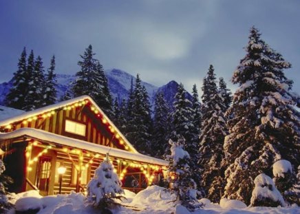 Christmas Scene - trees, snow, winter, house, lights