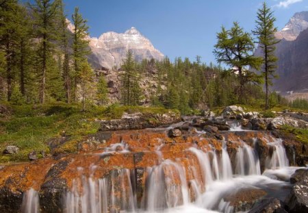 amazing mountain stream in canada - stream, forest, mountains, cascade