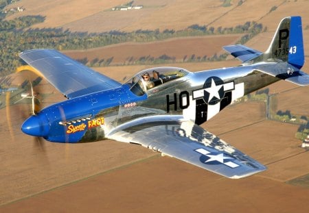 classic p51 mustang