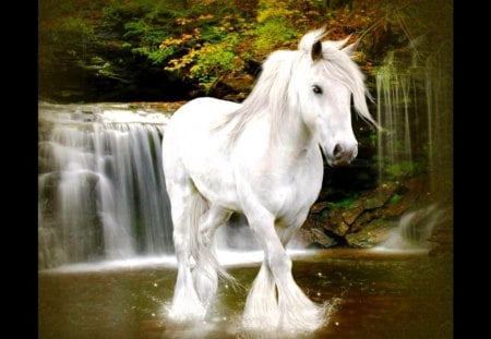 White horse - white, animal, waterfal, forrest, lake, horse