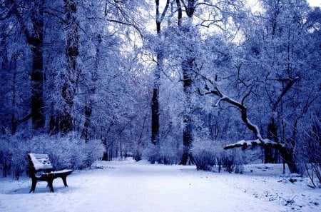 SNOW COVERED PARK - snow, bench, winter, park