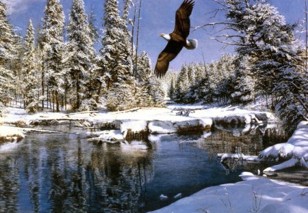 WINTER - river, eagle, winter, nature, forest