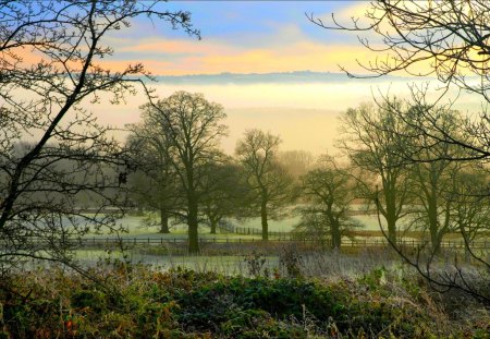 FOGGY MORNING - field, fog, morning, landscape