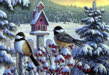 snow and birds - and, snow, birds