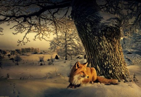 Winter fox - frosty, xmas, greeting, shine, other, whiter trees, amazing, cool, cold, holiday, frozen, silent, shining, nature, splendidly, celebration, beautiful, seasons, travels, peaceful, photography, mountains, wonderful, mist, gorgeous, quiet, winter time, rivers, magnificent, winter, christmas, splendor blue in winter, splendor, miracle, fog