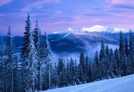 Carpathian Sunset - winter, sunset, mountain, carpathian