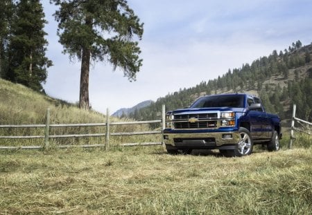 2014-Chevrolet-Silverado - truck, field, bowtie, gm