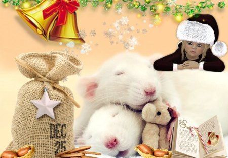 Sweet Dreams - christmas, santa, holidays, mice, dream, animals