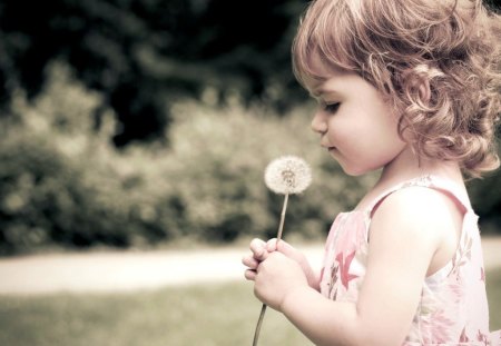 picking dandelion - girl, dandelion, flower, nature