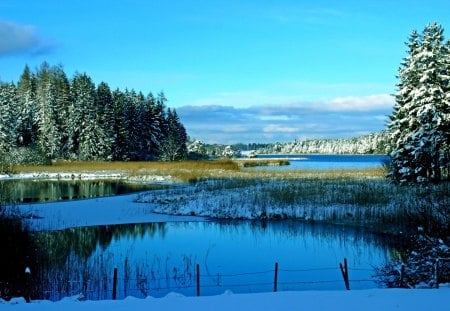 WINTER LAKE - winter, nature, season, lake