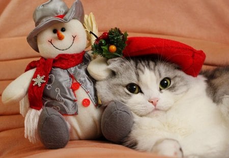 CHRISTMAS BUDDIES - snowman, costume, holidays, cat