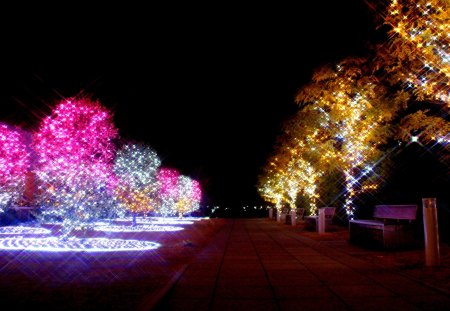 COLORFUL PARK - holidays, glitters, park, colors, lights